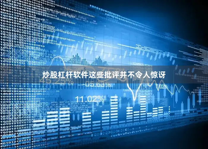 炒股杠杆软件这些批评并不令人惊讶