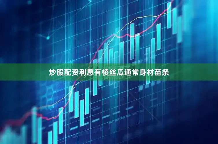 炒股配资利息有棱丝瓜通常身材苗条