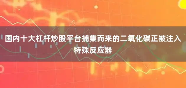 国内十大杠杆炒股平台捕集而来的二氧化碳正被注入特殊反应器